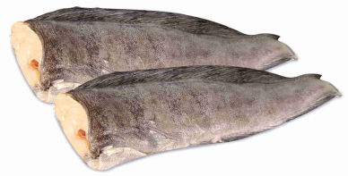 Зубатка синяя ПБГ Форпост монолит~21кг