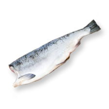 Сайда  ПБГ 1-2кг Звезда Мурмана (F302) монолит ~25кг