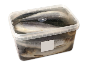 Сельдь с/с 300+ (ведро 5кг) Питерское