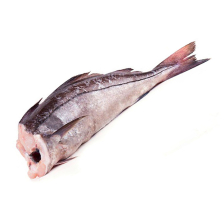 Пикша ПБГ 0,5-1кг Тармо (270) монолит ~30кг