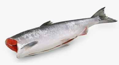 Нерка ПБГ штучная  Витязь Авто уп. ~5/25кг