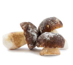 Грибы белые замороженные целые 4-8см (3кг/кор) Кантарелла РФ