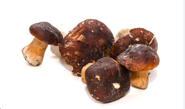 Гриб белый 2 сорт замороженный (6-10 см) целый 7кг/кор Болетус-ЛТ)