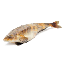 Терпуг н/р 800гр+  Геркулес Росрыбфлот монолит 18 кг