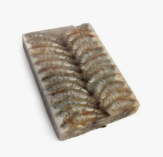 Креветка ваннамей б/г в панцире 21/25  Эквадор (681) блок 1,8кг/10,8кг